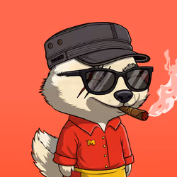 MEGA HONEY BADGERS #3391