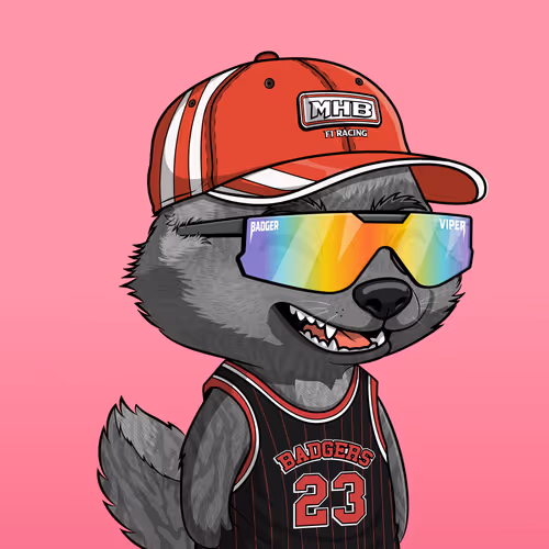 Megahoneybadgers