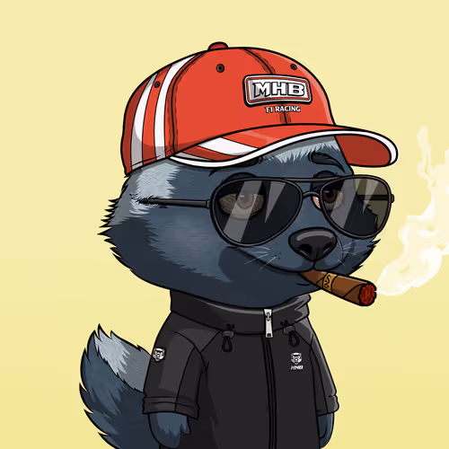 Megahoneybadgers