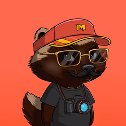 MEGA HONEY BADGERS #4067