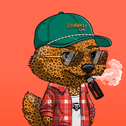 MEGA HONEY BADGERS #3047