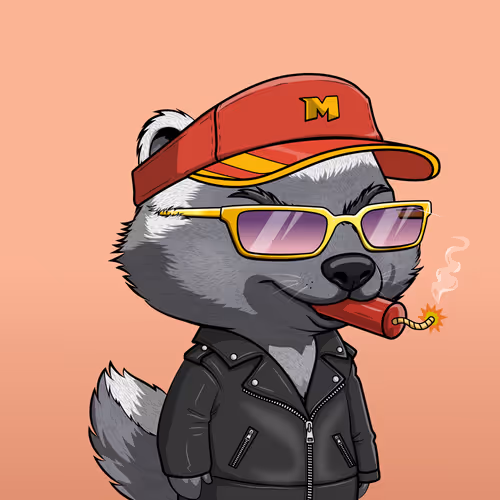 Megahoneybadgers