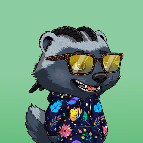 Megahoneybadgers