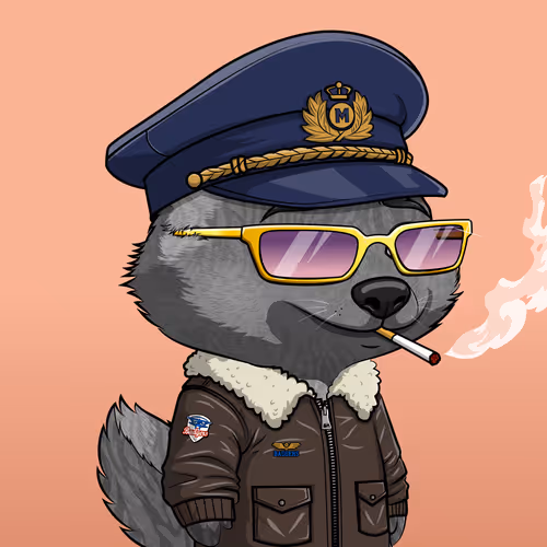 Megahoneybadgers