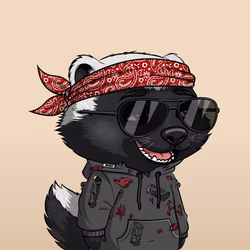 Megahoneybadgers