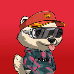 MEGA HONEY BADGERS #3961