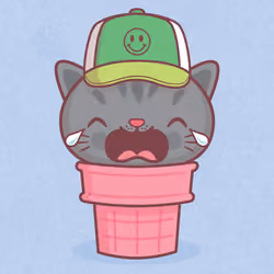 Kitty Cone #555