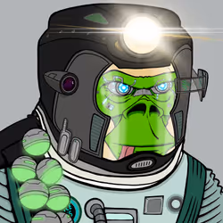 Ronin Saturn