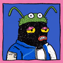 4243