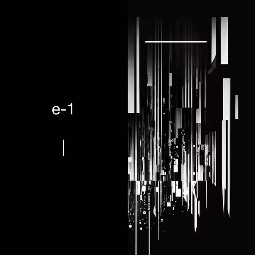e-1. #228