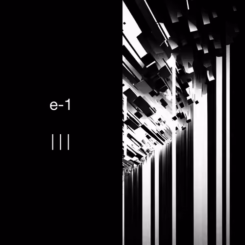 e-1. #212