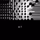 81
