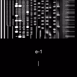 e-1. #304