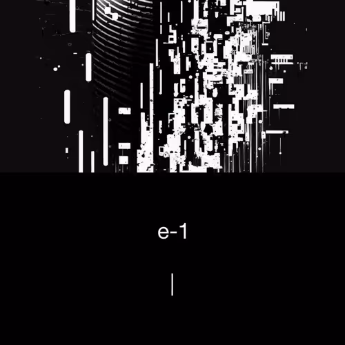 e-1. #351