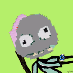 kevin mfer #3224