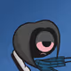 620