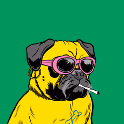 Thug Pug #917