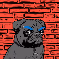 Thug Pug #541