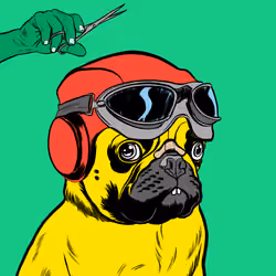 Thug Pug #831