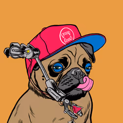 520
