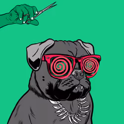 Thug Pug #503