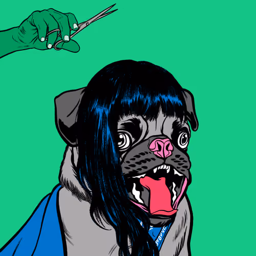 Thug Pug #42