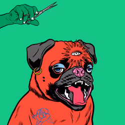 Thug Pug #59
