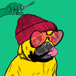 Thug Pug #866