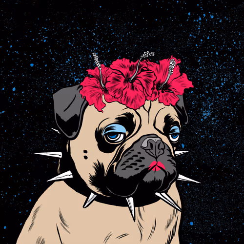 Thug Pug #311