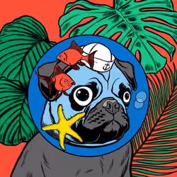 Thug Pug #792