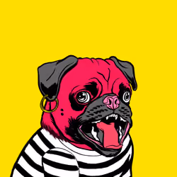 Thug Pug #623