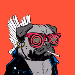 Thug Pug #507