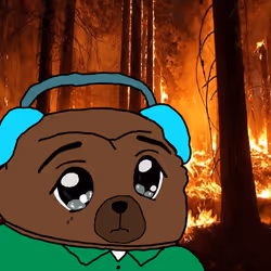 50