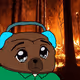 50
