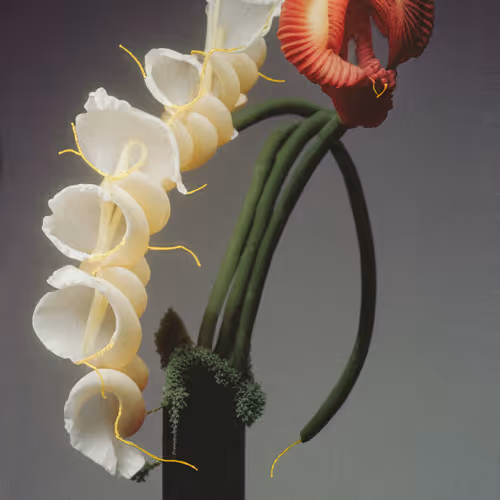 Botany A Photographic Retrospective