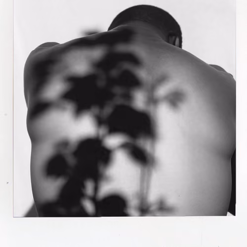 Golden Lily of the Valley, Instant Photo (polaroid), 1972