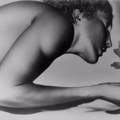 Hibiscus, Silver Gelatin Print (developing-out-process, solarization), 1936