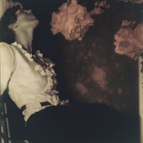 Bougainvillea, Gum Bichromate, 1906
