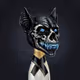 Panther BatMetal Edition