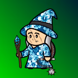 Wizard #3951