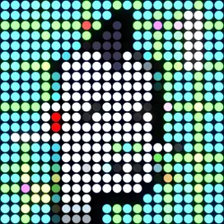 262