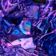 2300010004