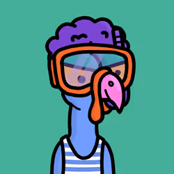 Turkey #6764