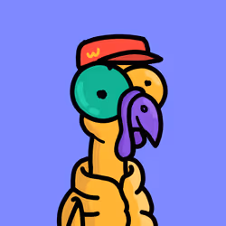 Turkey #62