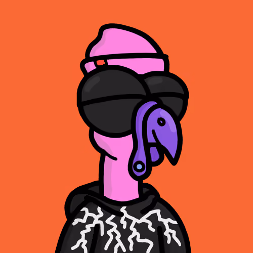 Turkey #5817