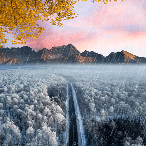 Journey #567