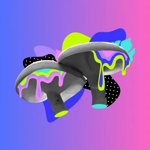 Maximalist 3