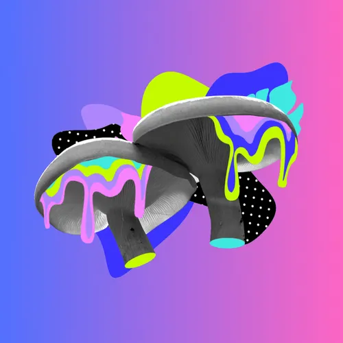 Item #21 Media