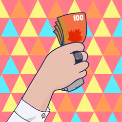 Your Collection #501