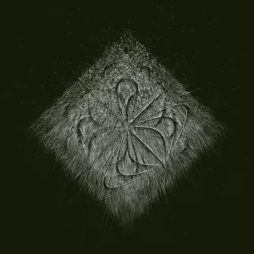 Item #1000000022 Media